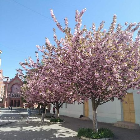 Затишна Двокімнатна Квартира В Самому Серці Ужгорода Uzhhorod Exterior photo